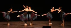 Gala de danse classique 14 ans à jeunes adultes 2026